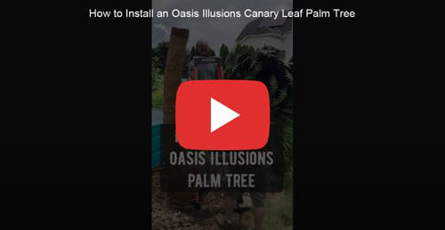 FAQ 1 yt smallertreecanary sm